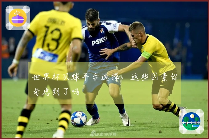 世界杯买球平台选择，这些因素你考虑到了吗