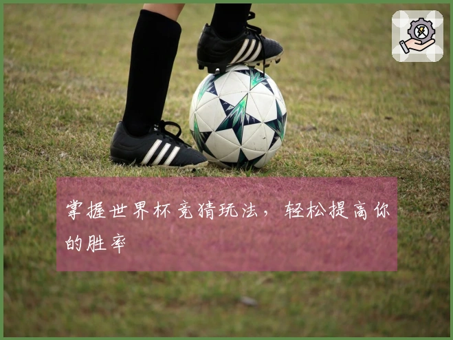 掌握世界杯竞猜玩法，轻松提高你的胜率