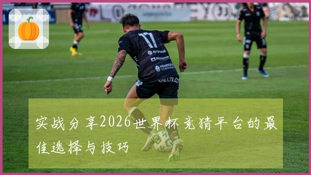 实战分享2026世界杯竞猜平台的最佳选择与技巧