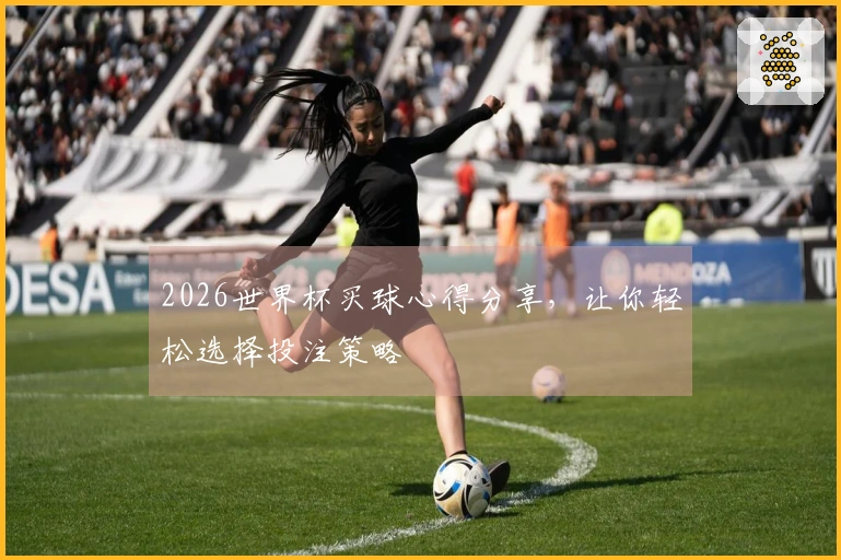 2026世界杯买球心得分享，让你轻松选择投注策略