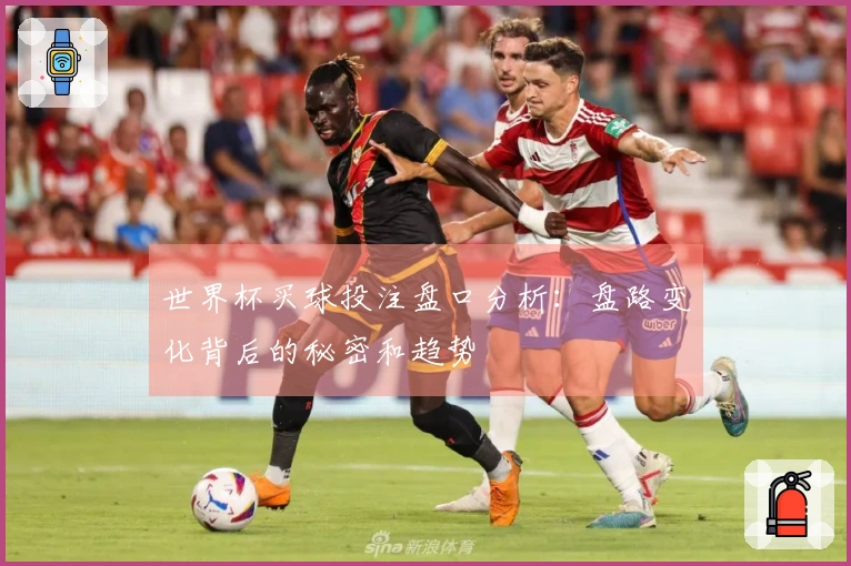 世界杯买球投注盘口分析：盘路变化背后的秘密和趋势
