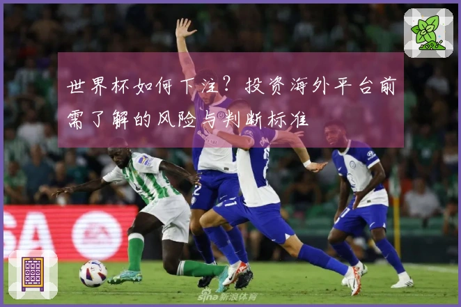 世界杯如何下注？投资海外平台前需了解的风险与判断标准