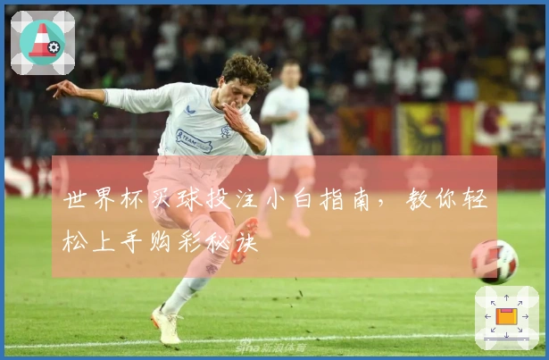 世界杯买球投注小白指南,教你轻松上手购彩秘诀
