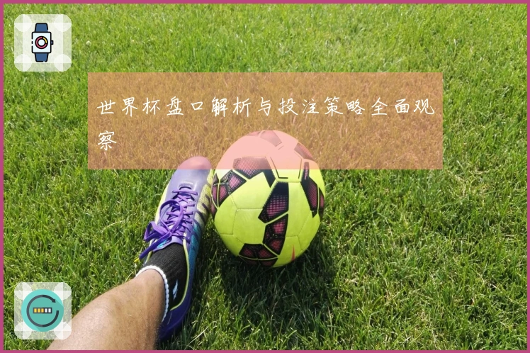 世界杯盘口解析与投注策略全面观察