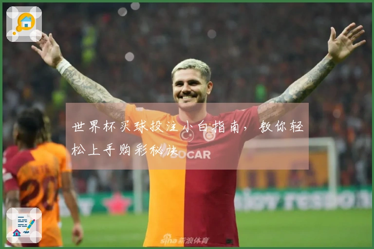 世界杯买球投注小白指南，教你轻松上手购彩秘诀
