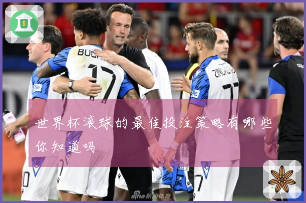 世界杯滚球的最佳投注策略有哪些你知道吗