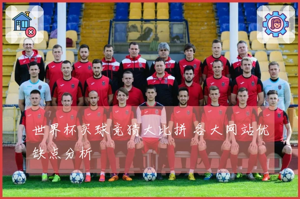世界杯买球竞猜大比拼 各大网站优缺点分析