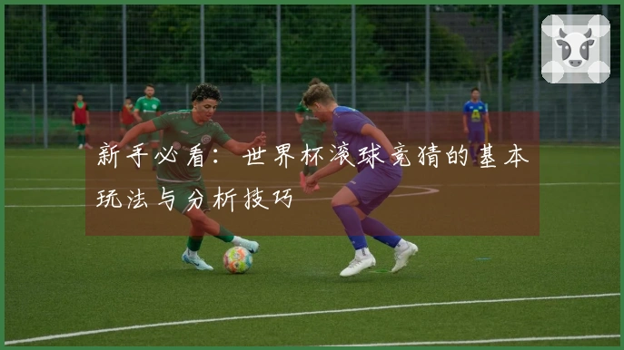 新手必看：世界杯滚球竞猜的基本玩法与分析技巧