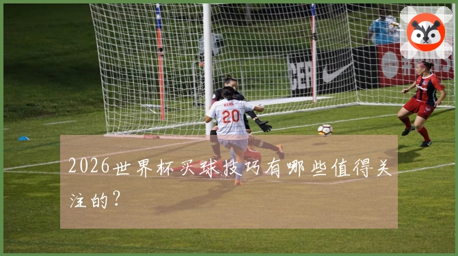 2026世界杯买球技巧有哪些值得关注的？