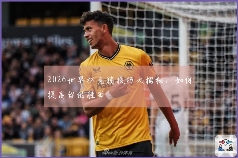 2026世界杯竞猜技巧大揭秘，如何提高你的胜率
