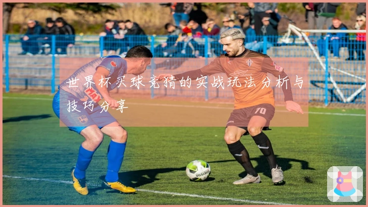 世界杯买球竞猜的实战玩法分析与技巧分享