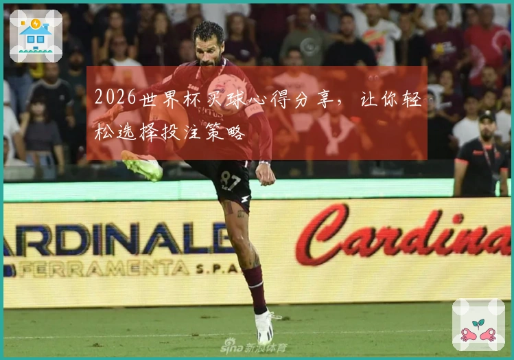 2026世界杯买球心得分享，让你轻松选择投注策略