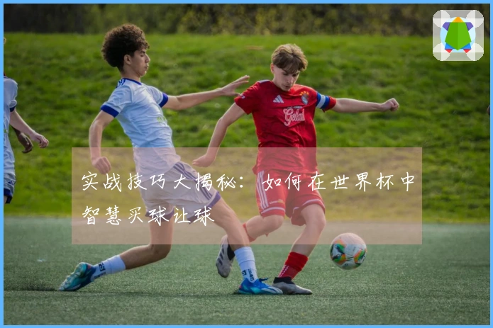 实战技巧大揭秘：如何在世界杯中智慧买球让球