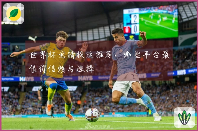 世界杯竞猜投注推荐，哪些平台最值得信赖与选择