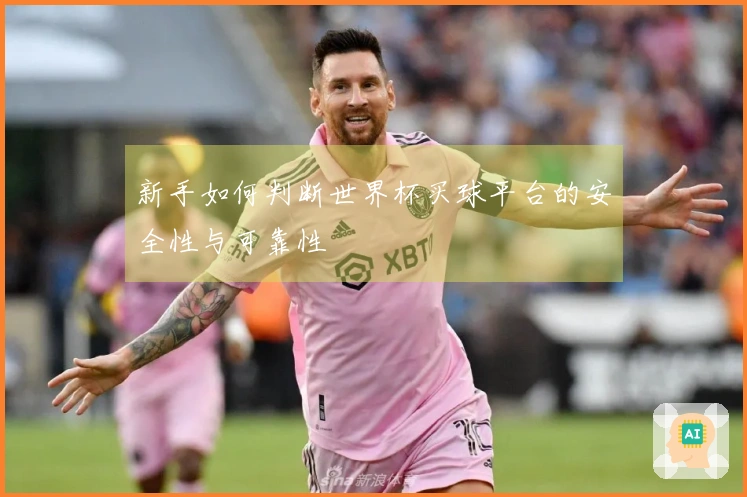 新手如何判断世界杯买球平台的安全性与可靠性