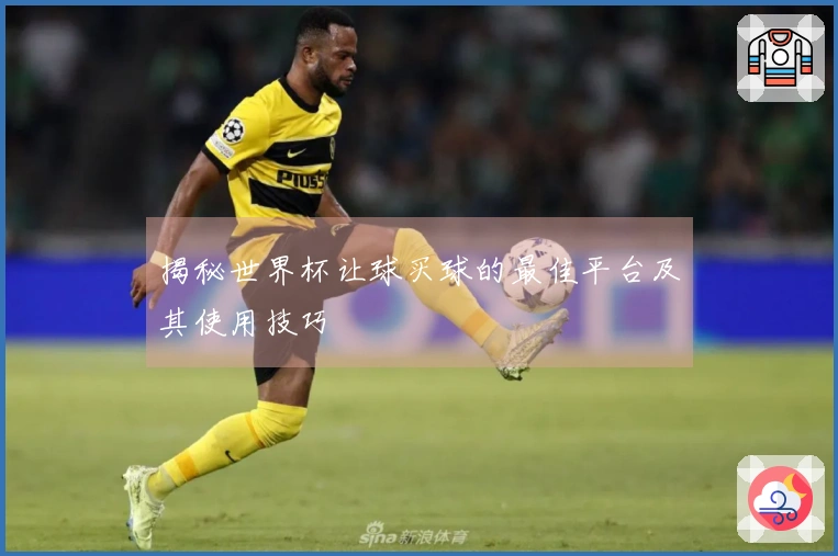 揭秘世界杯让球买球的最佳平台及其使用技巧