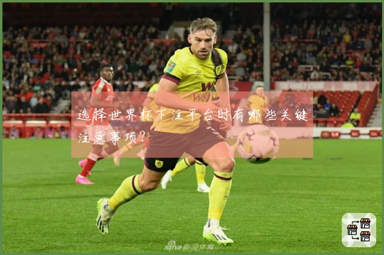 选择世界杯下注平台时有哪些关键注意事项？